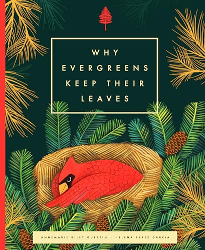 Imagen de archivo de Why Evergreens Keep Their Leaves a la venta por ThriftBooks-Dallas