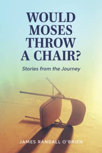Stock image for Would Moses Throw a Chair?: Stories from the Journey for sale by GF Books, Inc.