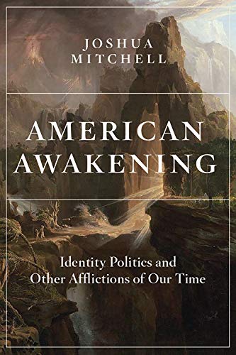 Beispielbild fr American Awakening: Identity Politics and Other Afflictions of Our Time zum Verkauf von BooksRun