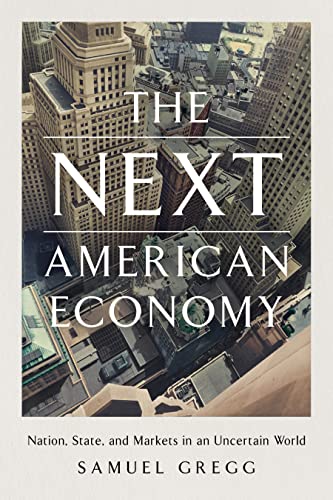 Imagen de archivo de The Next American Economy: Nation, State, and Markets in an Uncertain World a la venta por Turning the Page DC
