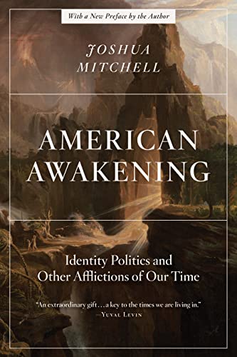 Beispielbild fr American Awakening: Identity Politics and Other Afflictions of Our Time zum Verkauf von Monster Bookshop