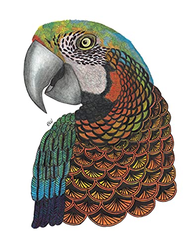 9781641780117: TangleEasy Lined Journal Parrot