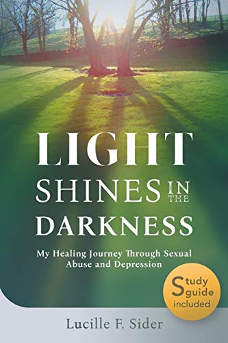 Stock image for Light Shines in the Darkness: My Healing Journey Through Sexual Abuse and Depression for sale by HPB-Diamond