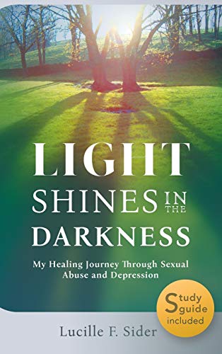 Beispielbild fr Light Shines in the Darkness, Hardcover: My Healing Journey Through Sexual Abuse and Depression zum Verkauf von Robinson Street Books, IOBA