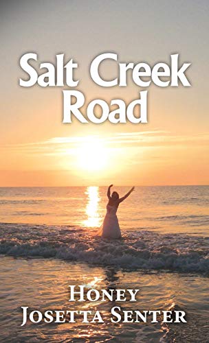9781641844109: Salt Creek Road