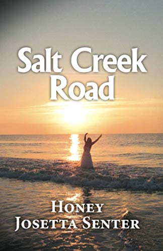 9781641844116: Salt Creek Road