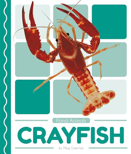 Stock image for Crayfish for sale by ThriftBooks-Atlanta