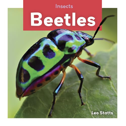 Stock image for Beetles for sale by PBShop.store US