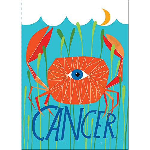 9781642446548: Lisa Congdon for Em & Friends Cancer Zodiac Magnet