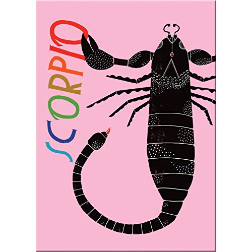 9781642446586: Lisa Congdon for Em & Friends Scorpio Zodiac Magnet