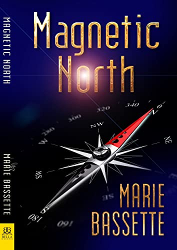 Imagen de archivo de Magnetic North a la venta por Book Outpost