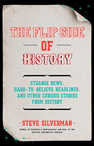 Beispielbild fr The Flip Side of History zum Verkauf von Monster Bookshop