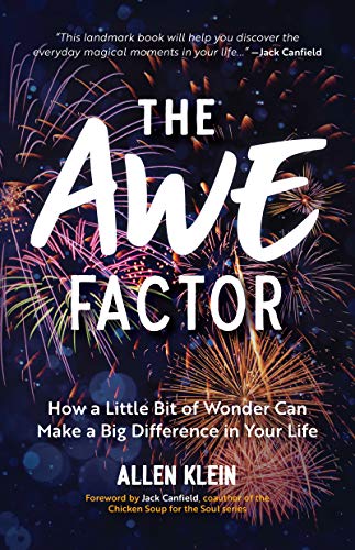 Stock image for The Awe Factor: How a Little Bit of Wonder Can Make a Big Difference in Your Life (Inspirational Gift for Friends, Personal Growth Guide) for sale by KuleliBooks