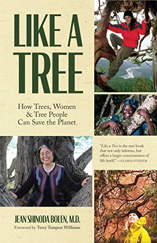 9781642504064: Like a Tree: How Trees, Women, and Tree People Can Save the Planet (Ecofeminism, Environmental Activism)