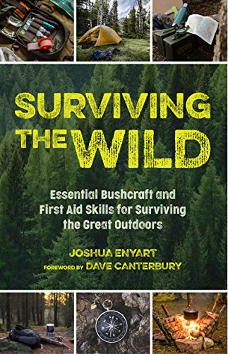 Imagen de archivo de Surviving the Wild: Essential Bushcraft and First Aid Skills for Surviving the Great Outdoors (Wilderness Survival) a la venta por HPB Inc.