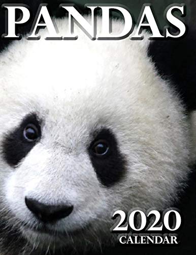 Stock image for Pandas 2020 Calendar for sale by Ergodebooks