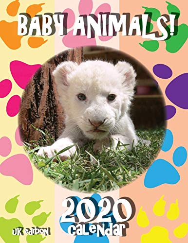 Stock image for Baby Animals 2020 Calendar UK Edition for sale by PBShop.store US
