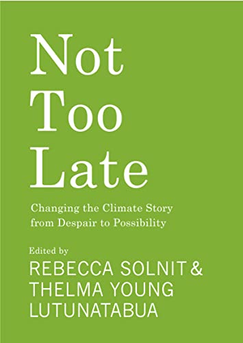 Beispielbild fr Not Too Late: Changing the Climate Story from Despair to Possibility zum Verkauf von BooksRun