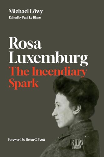 Stock image for Rosa Luxemburg: The Incendiary Spark: Essays for sale by AwesomeBooks