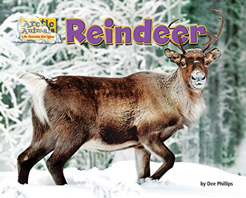 Beispielbild fr Reindeer (Arctic Animals: Life Outside the Igloo) zum Verkauf von Half Price Books Inc.