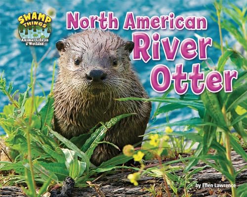 Imagen de archivo de North American River Otter (Swamp Things: Animal Life in a Wetland) a la venta por SecondSale
