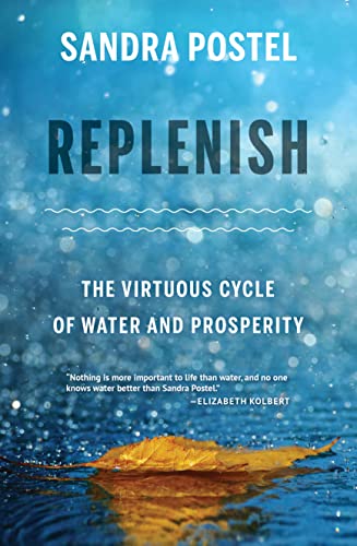 Beispielbild fr Replenish: The Virtuous Cycle of Water and Prosperity zum Verkauf von Books Unplugged