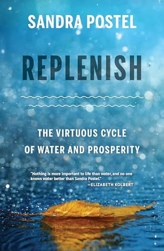 Stock image for Replenish: The Virtuous Cycle of Water and Prosperity for sale by HPB-Diamond