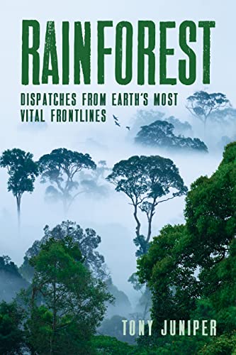Stock image for Rainforest : Dispatches from Earth's Most Vital Frontlines for sale by Better World Books