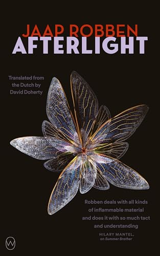 Stock image for Afterlight for sale by Revaluation Books