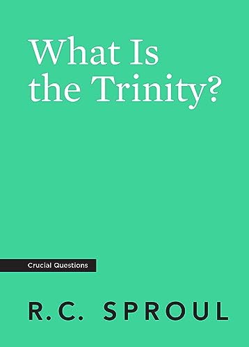 9781642890457: What Is the Trinity?