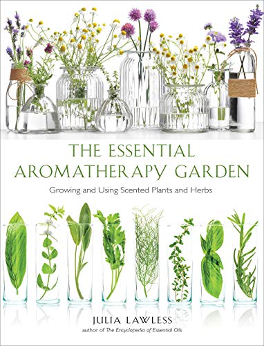 Stock image for Essential Aromatherapy Garden: Growing and Using Scented Plants and Herbs for sale by Green Street Books