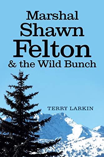 9781642980912: Marshal Shawn Felton & the Wild Bunch
