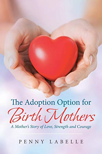 Beispielbild fr The Adoption Option for Birth Mothers: A Mother's Story of Love, Strength and Courage zum Verkauf von Wonder Book