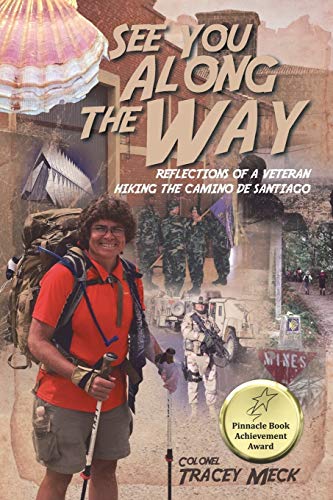 Stock image for See You Along The Way: Reflections of a Veteran Hiking The Camino de Santiago for sale by SecondSale