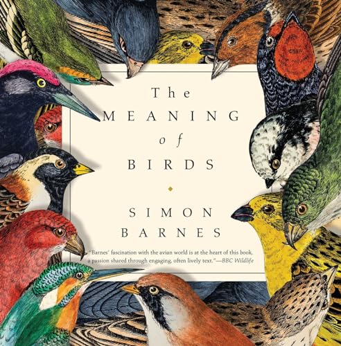 Imagen de archivo de The Meaning of Birds a la venta por Books Unplugged