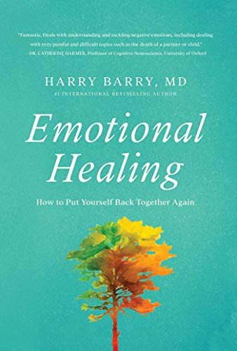 Stock image for Emotional Healing: How to Put Yourself Back Together Again for sale by SecondSale