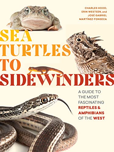 9781643260358: Sea Turtles to Sidewinders: A Guide to the Most Fascinating Reptiles & Amphibians of the West