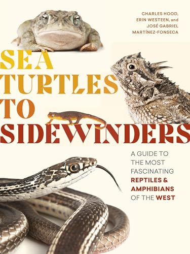 Stock image for Sea Turtles to Sidewinders: A Guide to the Most Fascinating Reptiles and Amphibians of the West for sale by Dream Books Co.