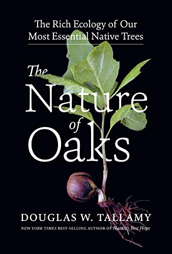 Stock image for Nature of Oaks: The Rich Ecology of Our Most Essential Native Trees for sale by Roundabout Books