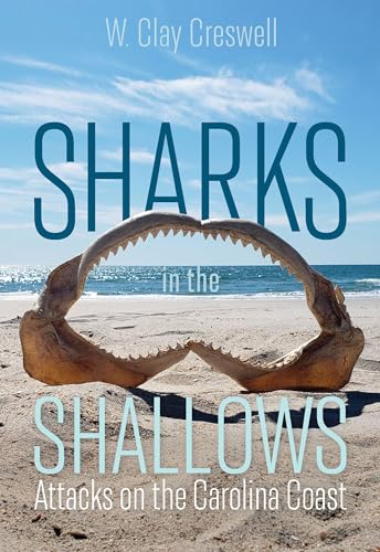 Sharks in the Shallows: Attacks on...