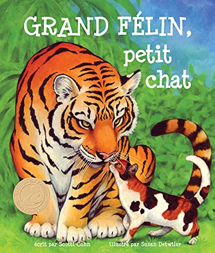 Imagen de archivo de Grand Felin, Petit Chat a la venta por Books Puddle