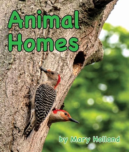 Beispielbild fr Animal Homes zum Verkauf von Buchpark