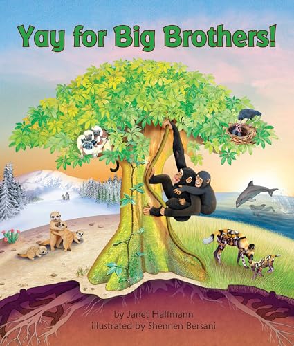 Stock image for Yay for Big Brothers! for sale by Blackwell's