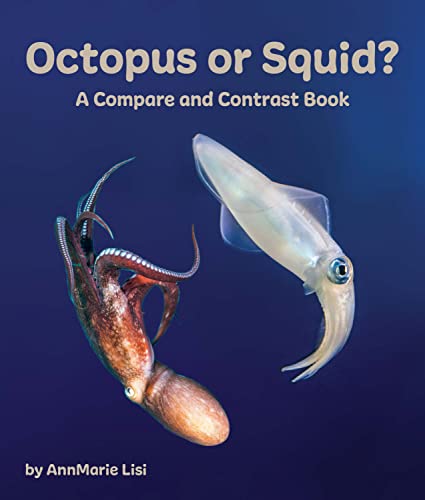 Beispielbild fr Octopus or Squid? zum Verkauf von Blackwell's