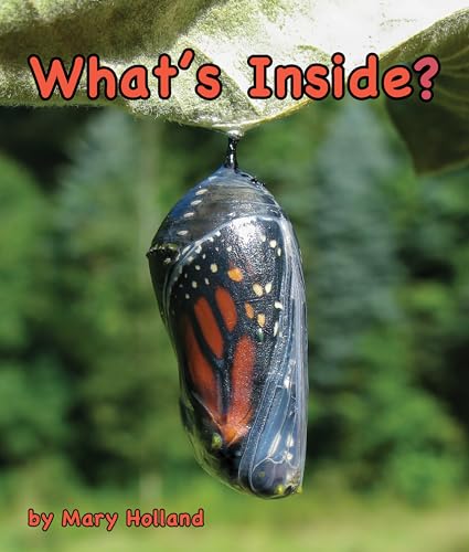 9781643519883: What's Inside? (Animal Anatomy & Adaptations)