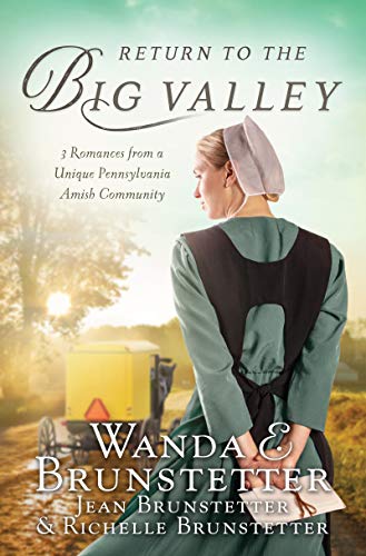9781643528717: Return to the Big Valley: Wilma's Wish / Martha's Miracle / Alma's Acceptance