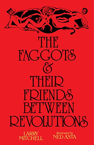 9781643620060: The Faggots & Their Friends Between Revolutions