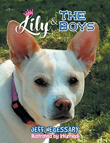 Stock image for Lily and The Boys for sale by Better World Books