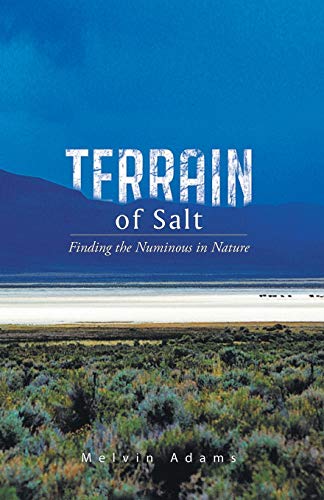 9781643672823: Terrain of Salt