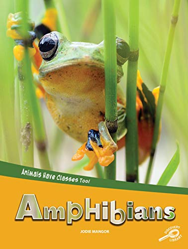 Beispielbild fr Animals Have Classes Too! Amphibians zum Verkauf von Buchpark